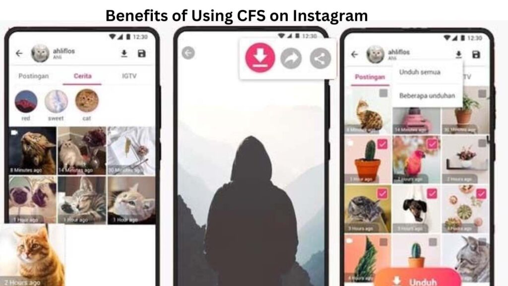 What Does CFS Mean on Instagram